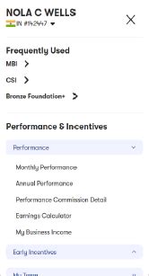 amway 9 income|My Business Income .